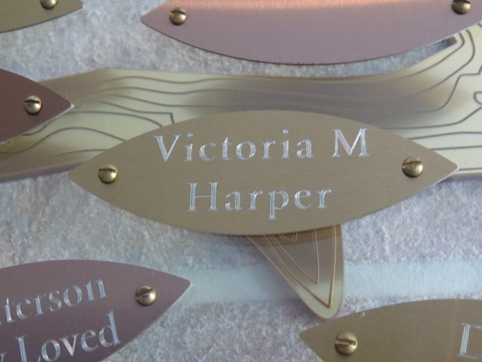 Victoria M Harper