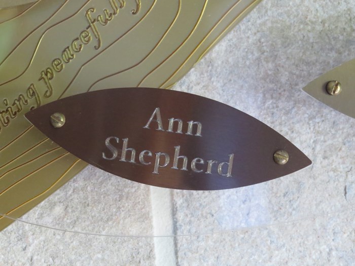 Ann Shepherd