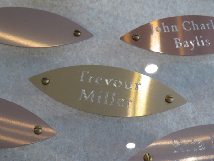 Trevour Miller