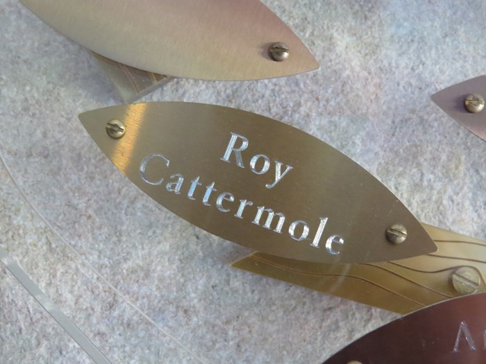 Roy Cattermole