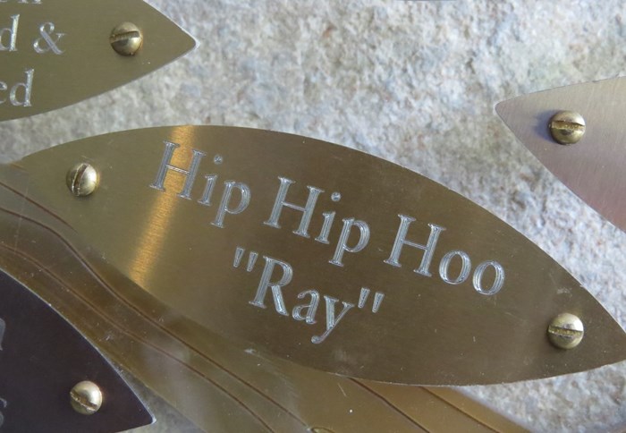 Hip Hip Hoo "Ray"