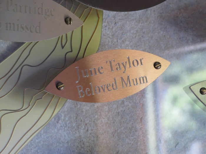 June Taylor