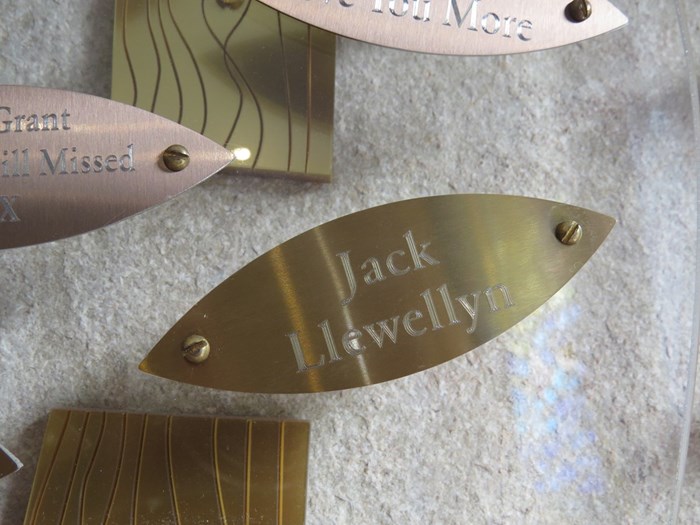 Jack Llewellyn