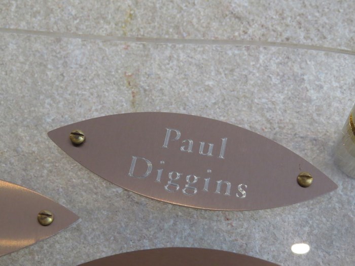 Paul Diggins