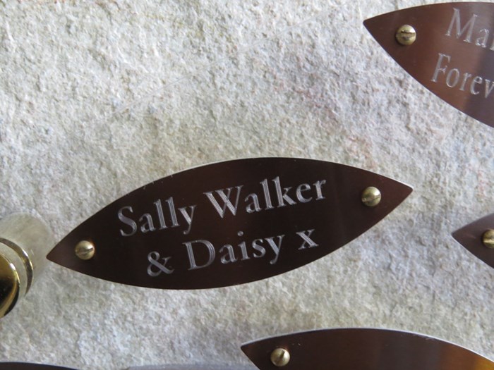 Sally Walker & Daisy