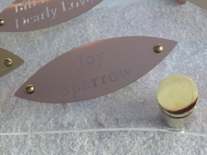 Joy Sparrow